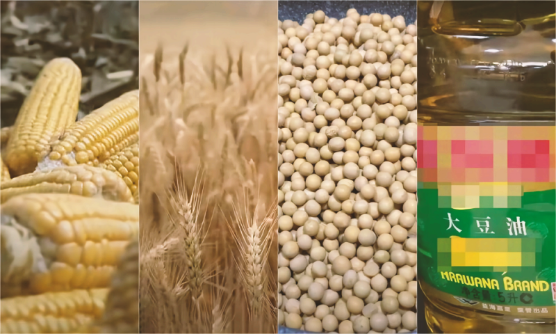 CBOT：大豆、小麦收成下调后涨幅扩大