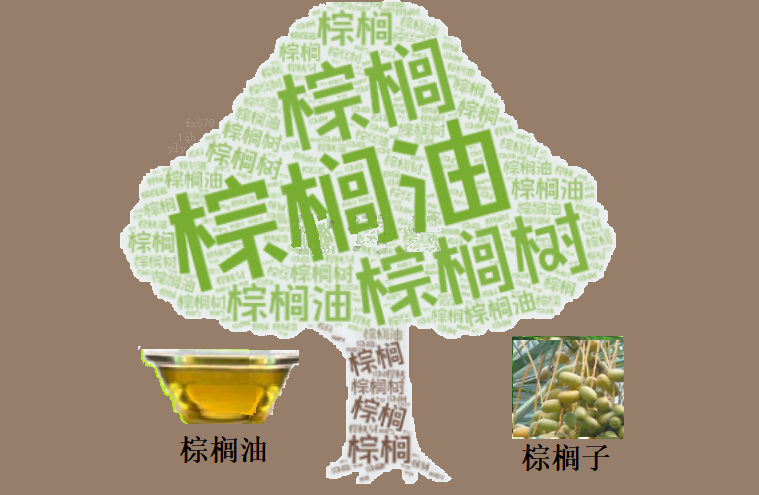 马棕油新年收个交易日收跌2.52%！B40计划推迟，关注后续进展