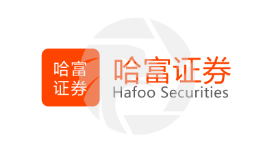 Hafoo Securities Logo