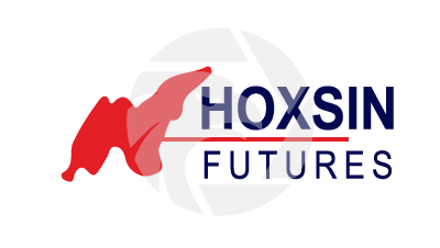 Hoxsin Logo