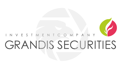 GRANDIS SECURITIES Logo