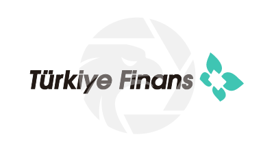 TURKIYE FINANS Logo