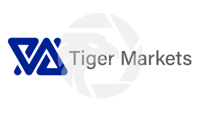Tiger Markets（test） Logo