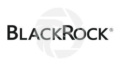 Blackrock Logo