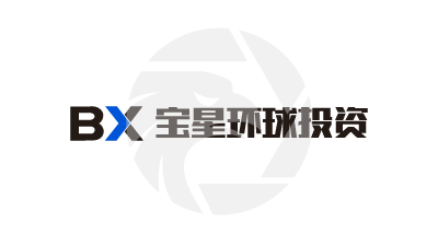8 Bitnex Logo
