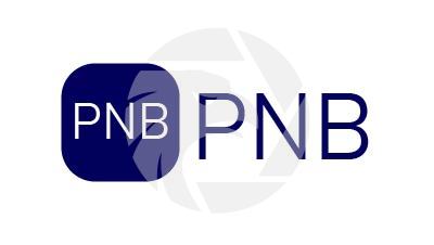 PNB Logo