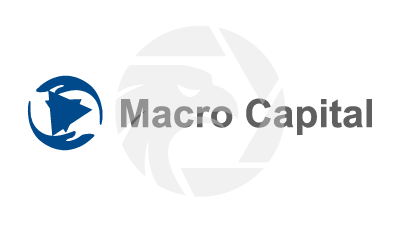Macro Capital Group Ltd Logo