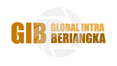 GIB Logo