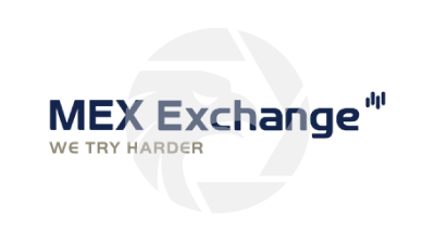 MEX Exchange Logo