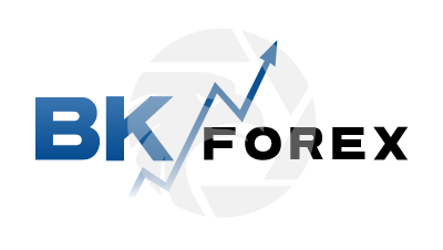 BK Forex Logo